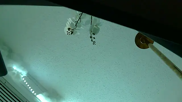 Snapshot of playxrated chatting on 04/10/26, 08:19 playxrated online show from 04/10/26, 08:19