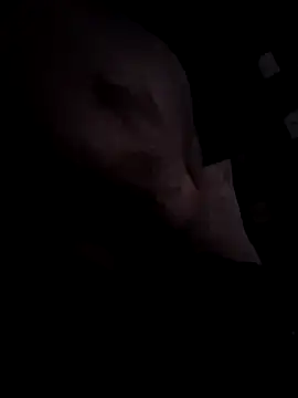 Djemi 7 online show from 03/04/26, 02:39