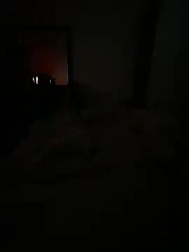 llllllllIIIll online show from 02/17/26, 04:42