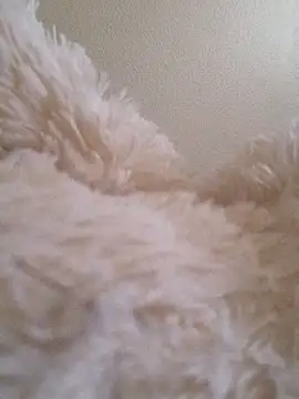 Bruninhadeusa online show from 12/19/25, 10:33