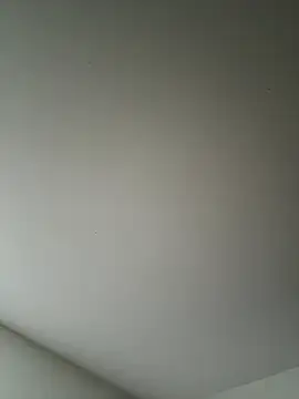 Snapshot of derekp55 chatting on 11/02/25, 12:51 derekp55 online show from 11/02/25, 12:51