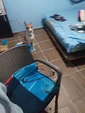 Snapshot of 666Daemon666 chatting on 01/17/26, 05:12 666Daemon666 online show from 01/17/26, 05:12