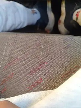 Snapshot of 666Daemon666 chatting on 01/17/26, 11:19 666Daemon666 online show from 01/17/26, 11:19