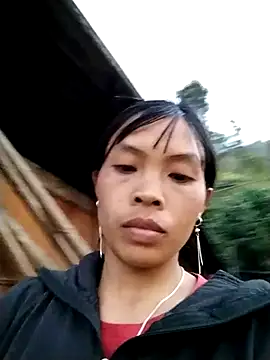 dinnavi online show from 10/28/25, 10:41