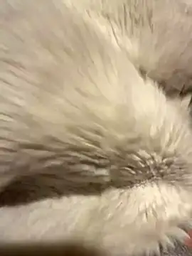 Snapshot of Jackoff2345 chatting on 10/26/25, 03:34 Jackoff2345 online show from 10/26/25, 03:34