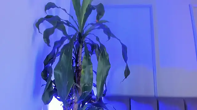 andreanix online show from 05/24/26, 06:24