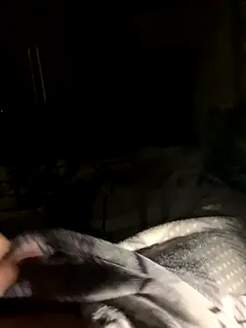 Snapshot of bfelipedasilva chatting on 10/23/25, 11:57 bfelipedasilva online show from 10/23/25, 11:57