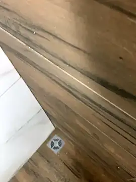 Snapshot of bfelipedasilva chatting on 10/25/25, 03:25 bfelipedasilva online show from 10/25/25, 03:25