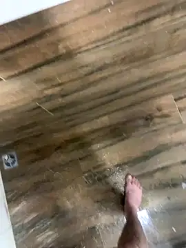 Snapshot of bfelipedasilva chatting on 12/04/25, 09:56 bfelipedasilva online show from 12/04/25, 09:56