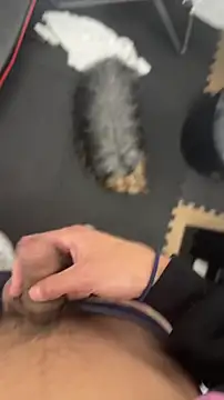 findomhot online show from 11/05/25, 09:04