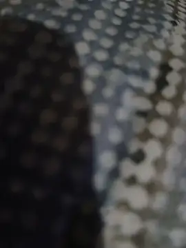 Snapshot of Piope1984 chatting on 10/28/25, 09:17 Piope1984 online show from 10/28/25, 09:17