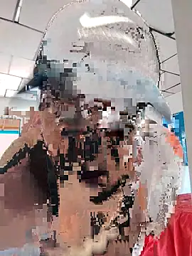 LAPOTRA 04 online show from 04/01/26, 04:15