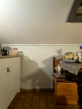 davi73d online show from 11/28/25, 02:25