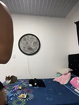 Hot2gether69 online show from 11/11/25, 03:01