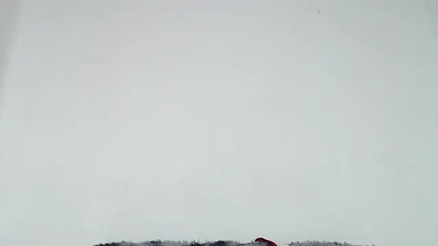 Snapshot of Mia_fox29 chatting on 10/31/25, 01:01 Mia fox29 online show from 10/31/25, 01:01