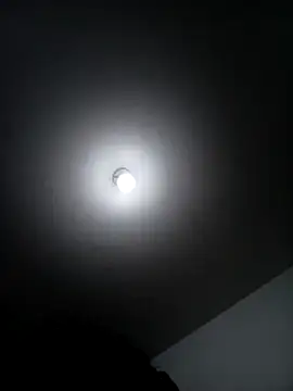 DecoyingCroaker online show from 11/01/25, 02:57