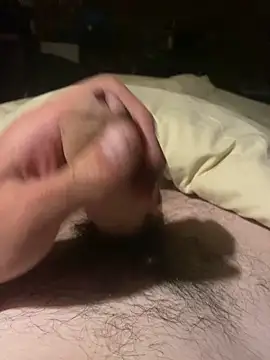 FestiveWolf225 online show from 10/28/25, 07:38