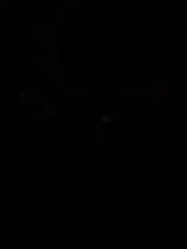 WildNour online show from 04/13/26, 11:05