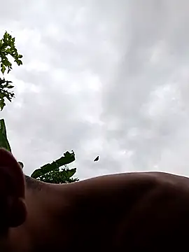 Alex Sweeting online show from 01/12/26, 08:47