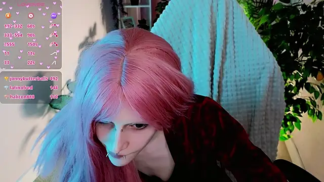 karkadeshk online show from 04/05/26, 10:01