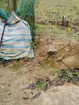 doggy-00 online show from 04/16/26, 11:40