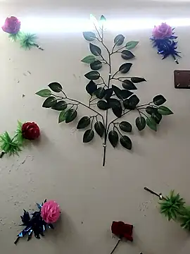 Indian-Glory online show from 01/14/26, 08:47