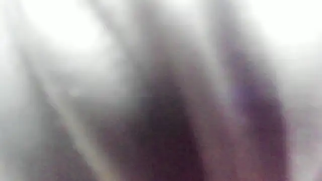 Snapshot of wild_best chatting on 02/16/26, 03:19 wild best online show from 02/16/26, 03:19