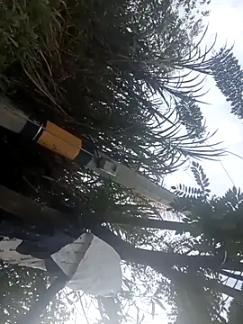 Camila-Valverde online show from 01/31/26, 08:51