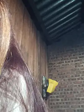 Snapshot of HGiasexy69 chatting on 11/02/25, 10:23 HGiasexy69 online show from 11/02/25, 10:23