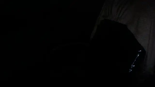 Snapshot of gygyfox chatting on 11/21/25, 10:52 gygyfox online show from 11/21/25, 10:52