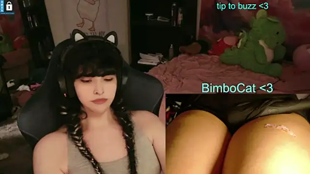 BimboCat online show from 05/17/26, 11:12