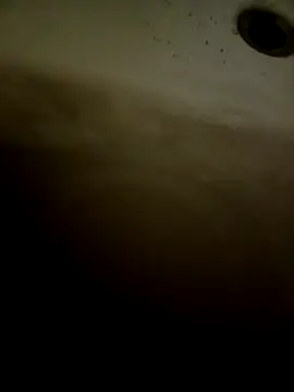 Snapshot of pino870 chatting on 02/11/26, 12:32 pino870 online show from 02/11/26, 12:32