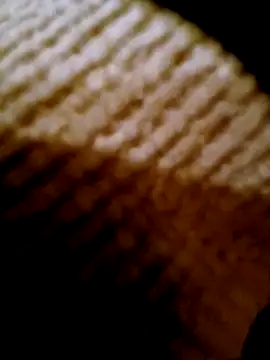 Snapshot of pino870 chatting on 02/17/26, 04:24 pino870 online show from 02/17/26, 04:24