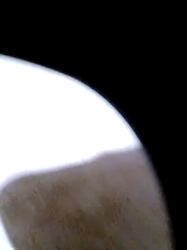 Snapshot of pino870 chatting on 02/20/26, 12:29 pino870 online show from 02/20/26, 12:29