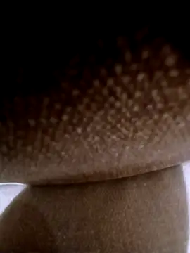 Snapshot of pino870 chatting on 03/03/26, 11:54 pino870 online show from 03/03/26, 11:54