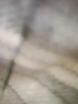 Snapshot of Pallu_Asha chatting on 03/01/26, 04:25 Pallu Asha online show from 03/01/26, 04:25