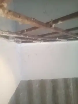 Snapshot of Pallu_Asha chatting on 03/15/26, 01:22 Pallu Asha online show from 03/15/26, 01:22