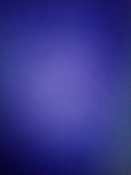 Snapshot of Pallu_Asha chatting on 03/16/26, 01:15 Pallu Asha online show from 03/16/26, 01:15