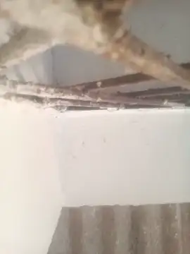 Snapshot of Pallu_Asha chatting on 03/17/26, 01:32 Pallu Asha online show from 03/17/26, 01:32