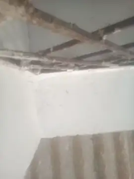 Snapshot of Pallu_Asha chatting on 04/28/26, 12:53 Pallu Asha online show from 04/28/26, 12:53