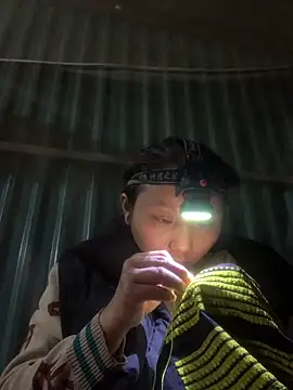 Snapshot of bi-bo123 chatting on 11/16/25, 02:33 bi-bo123 online show from 11/16/25, 02:33