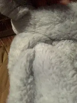 Snapshot of bi-bo123 chatting on 01/08/26, 01:19 bi-bo123 online show from 01/08/26, 01:19