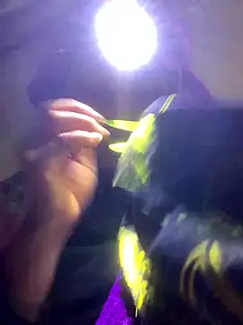 Snapshot of bi-bo123 chatting on 01/11/26, 02:22 bi-bo123 online show from 01/11/26, 02:22