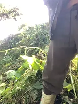 Snapshot of bi-bo123 chatting on 01/12/26, 03:12 bi-bo123 online show from 01/12/26, 03:12