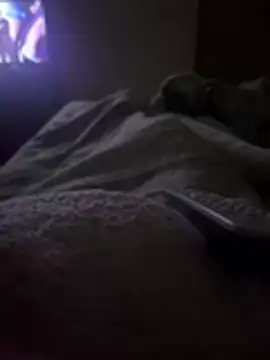 gatitaamelosaa7 online show from 02/24/26, 02:53