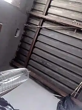 Teddypuer online show from 11/02/25, 12:40