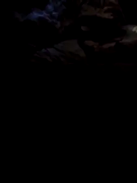 Snapshot of 1990Mido chatting on 04/13/26, 05:57 1990Mido online show from 04/13/26, 05:57