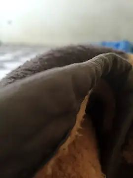 Snapshot of Realverse chatting on 11/05/25, 04:40 Realverse online show from 11/05/25, 04:40