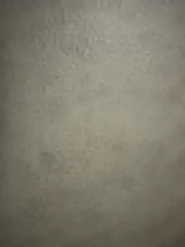 Snapshot of adamblunt59 chatting on 02/24/26, 02:48 adamblunt59 online show from 02/24/26, 02:48