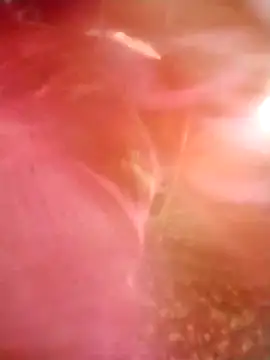 Snapshot of Jooli_cuty chatting on 03/14/26, 02:28 Jooli cuty online show from 03/14/26, 02:28